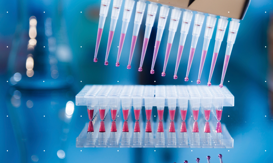Navigating Labelling Exemptions: Strategies for Market Access (Part I)