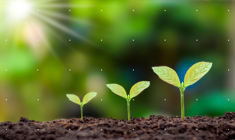 Insuvia Ranked as the #282 Europe’s Fastest-Growing Company