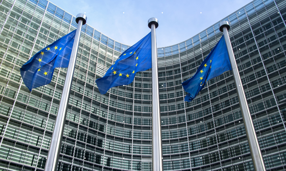 Insuvia Co-funded by European Uninion