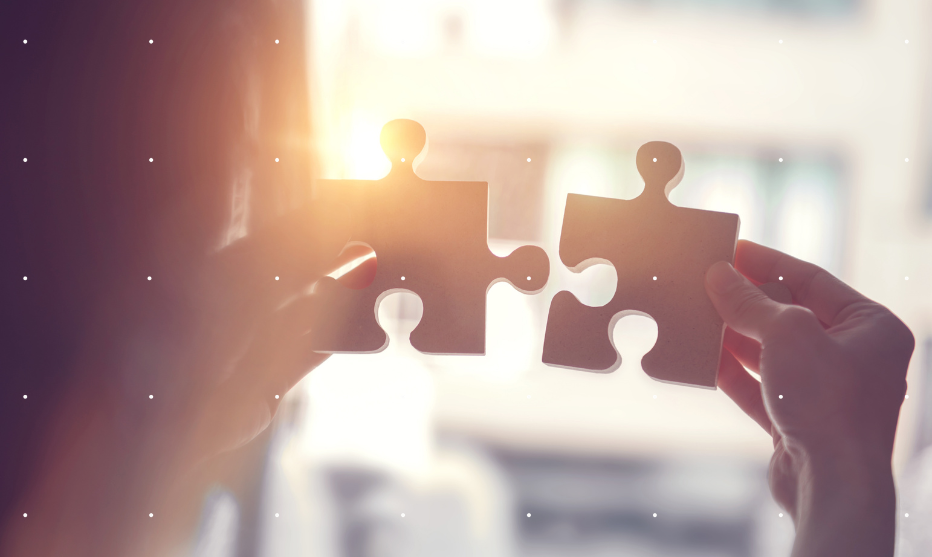 Local Person for PV (LPPV) Strategy Considerations