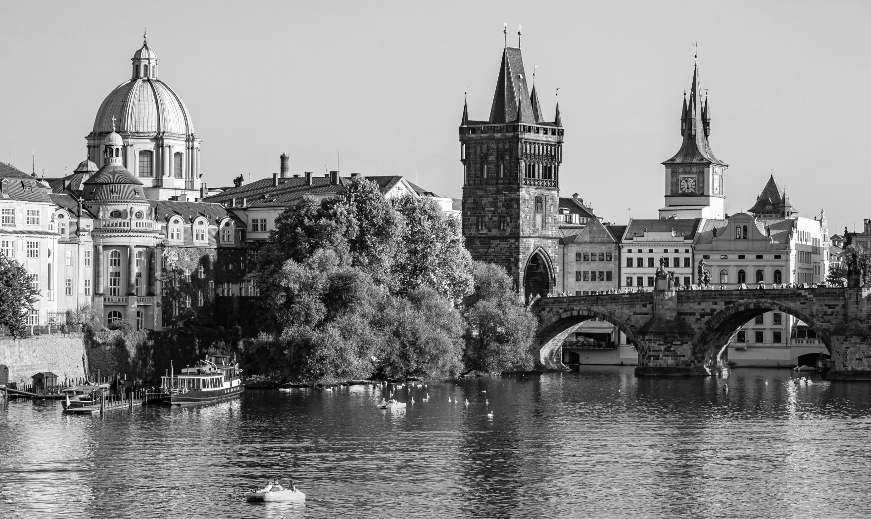 Pharmacovigilance & Regulatory Affairs services