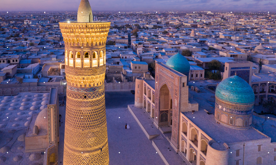 Rapid Evolvement of Uzbekistan Pharmacovigilance System